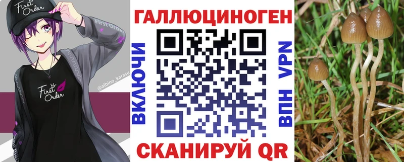 Псилоцибиновые грибы MAGIC MUSHROOMS  Менделеевск 