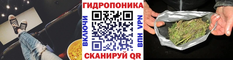 магазин продажи наркотиков  Менделеевск  Бошки Шишки MAZAR 